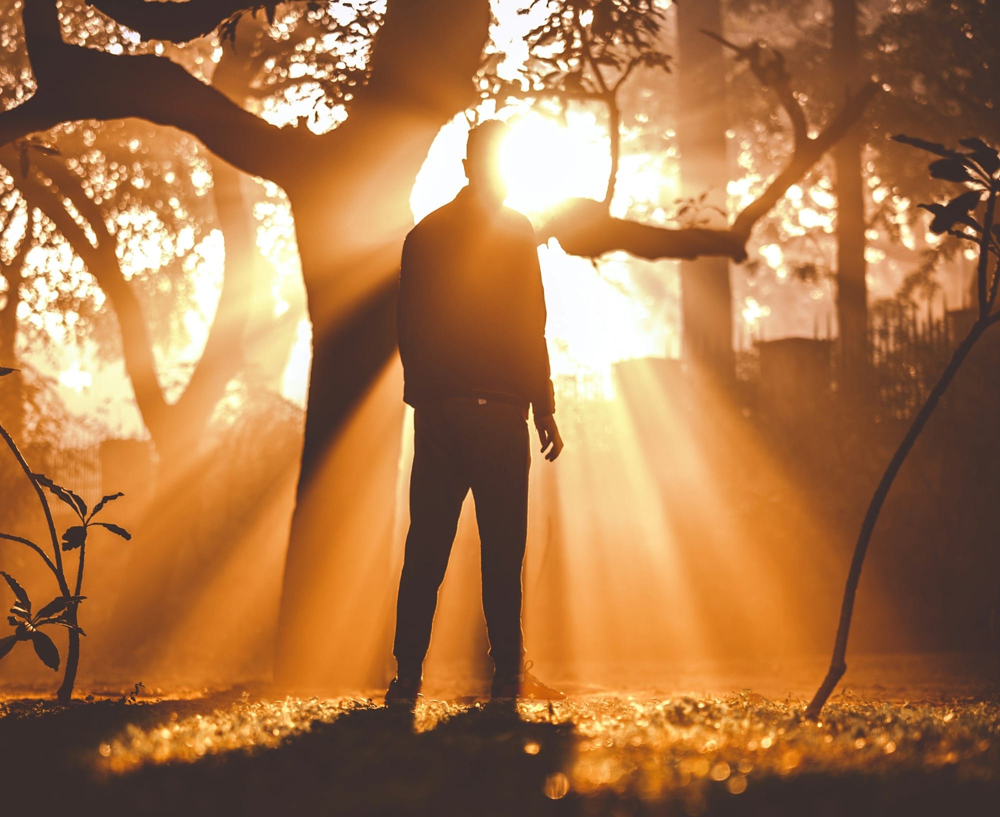 Sólo hay una causa y esa es La Conciencia