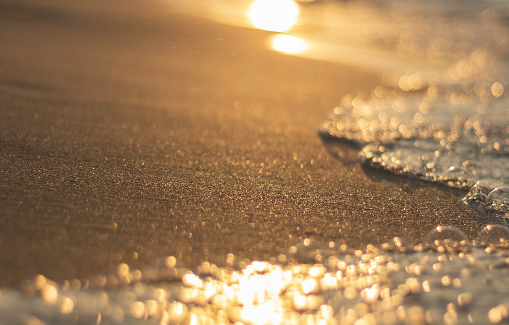 Tus palabras fueron halladas