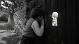 “El Reino”