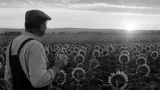 “La Copa de la Experiencia”