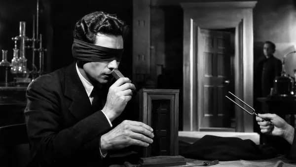 “El estado de la visión”